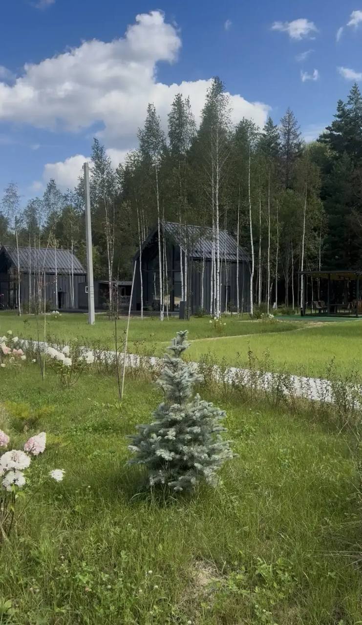 OZERO PARK LIFE — барнхаусы на зелёной лужайке