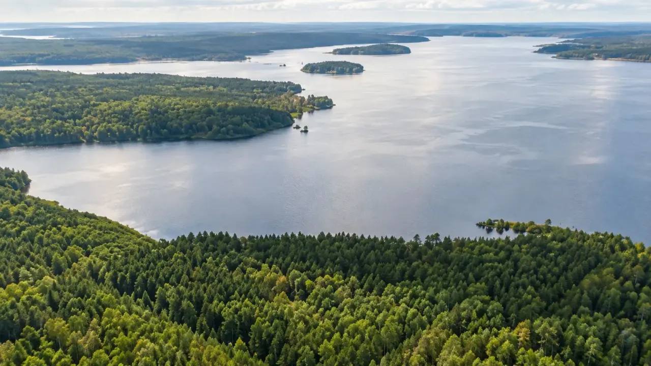 OZERO PARK — посёлок среди сосен